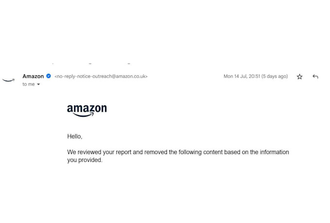 draft and submit dmca takedown notices to protect your content